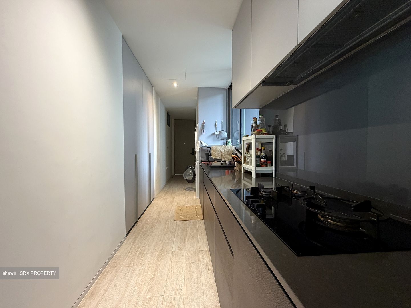 Amber Park (D15), Condominium #565634791